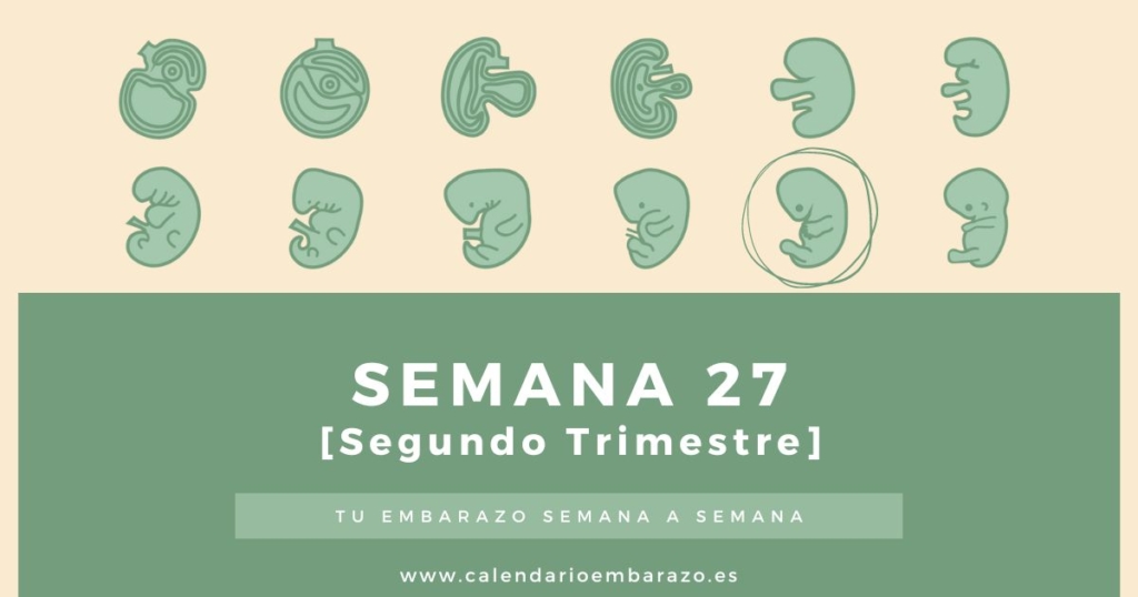 Semana 27 de embarazo