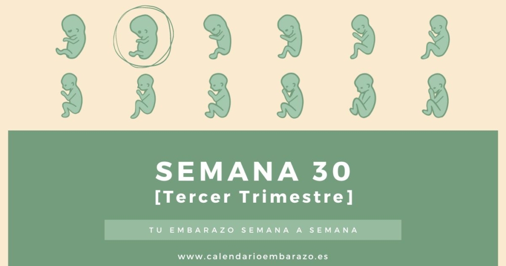 Semana 30 de embarazo