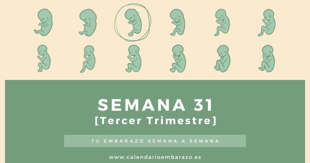 Semana 31 de embarazo