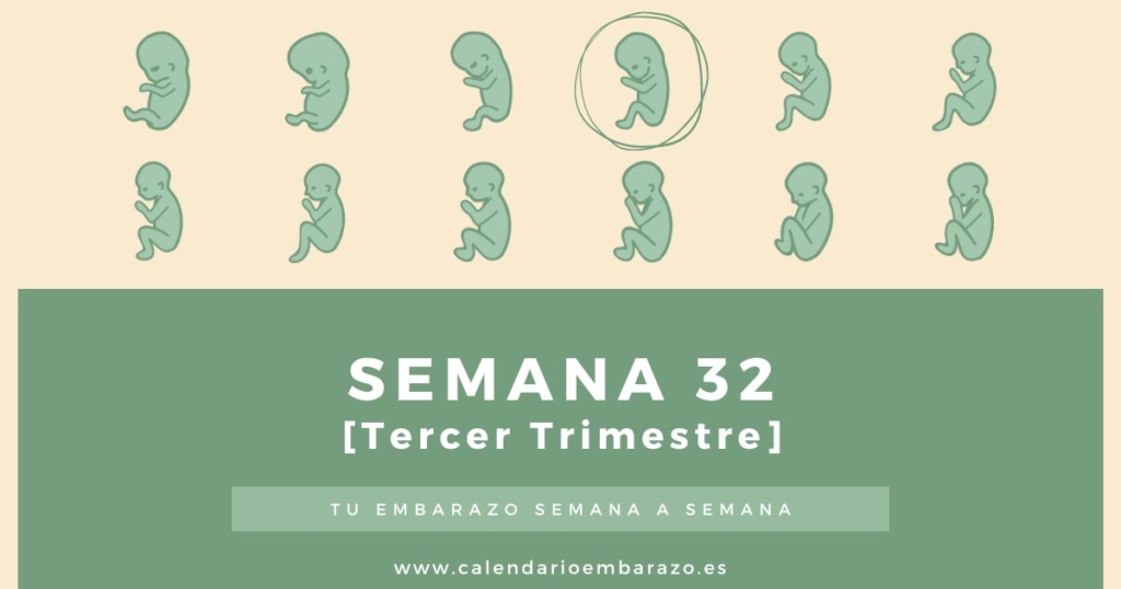 Semana 32 de embarazo