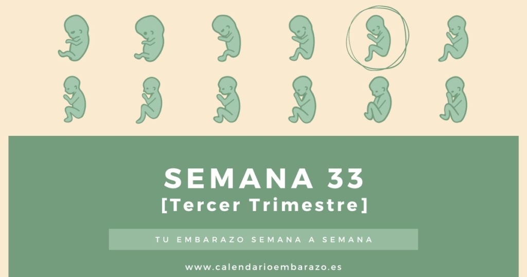 Semana 33 de embarazo