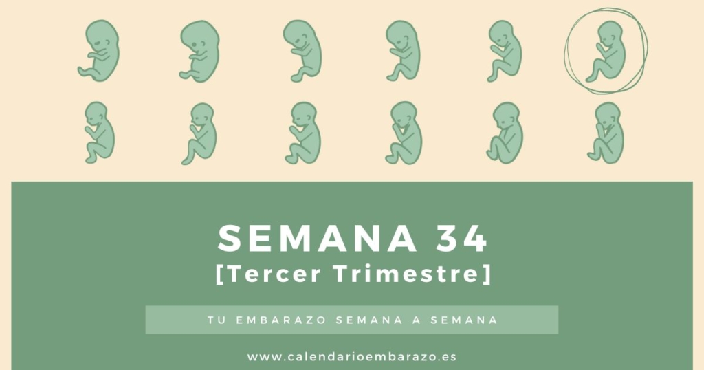 Semana 34 de embarazo