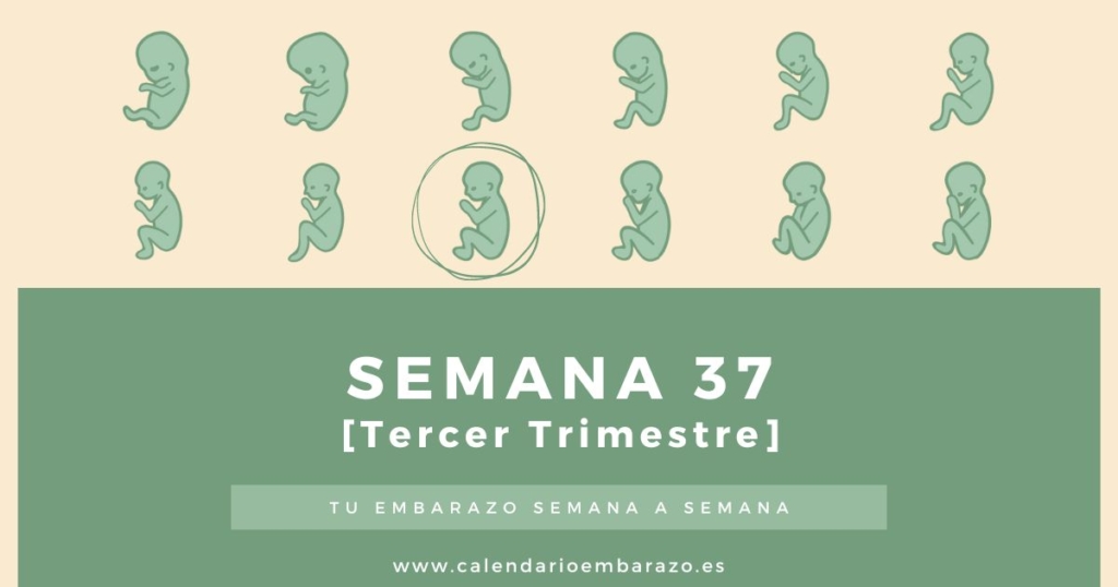 Semana 37 de embarazo