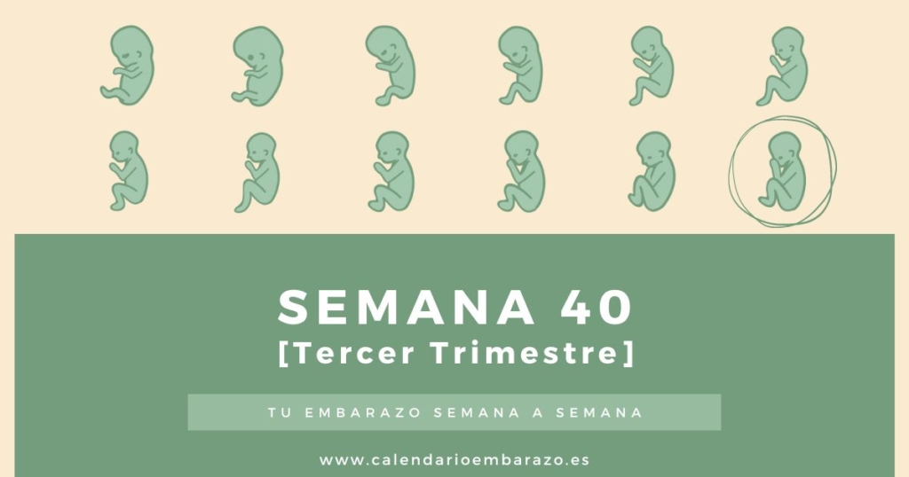 Semana 40 de embarazo